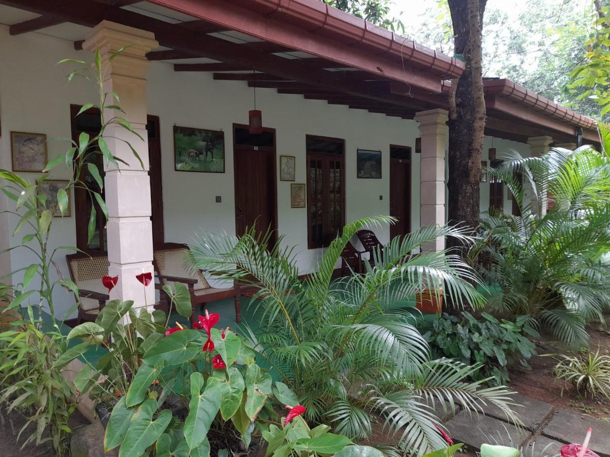 Sigiri Jungle Lodge Sigiriya