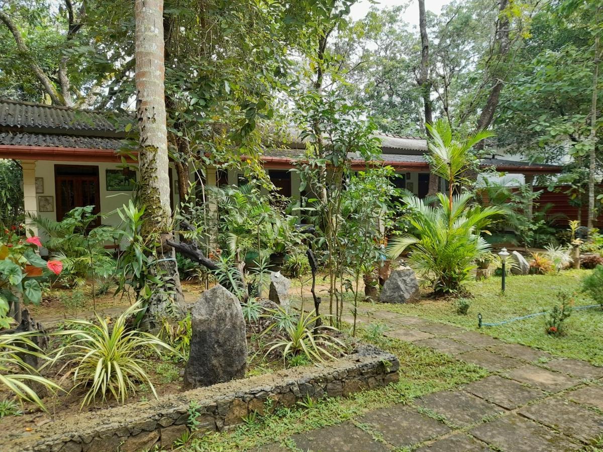 Sigiri Jungle * Sigiriya