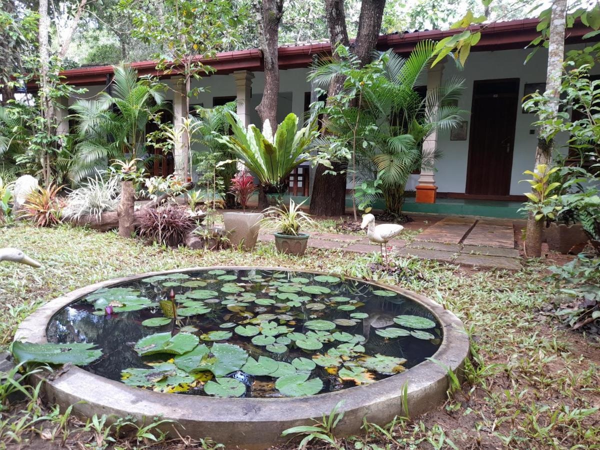 Sigiri Jungle Sigiriya